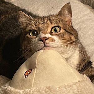 Meet your Posher, Kate